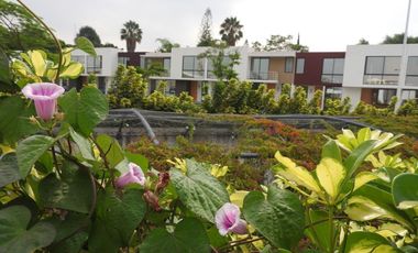 🏡✨ CASA EN RENTA FRACC. CANTALUNA 🏡✨