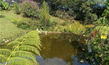 Espectacular casa finca en exclusiva unidad cerrada en La Ceja