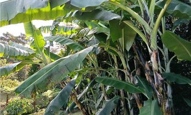 Espectacular casa finca en exclusiva unidad cerrada en La Ceja