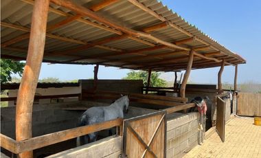Finca en venta en galapa