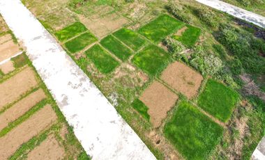Tanah Murah Purworejo, Jawa Tengah Dekat Bandara YIA