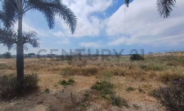 Amplio Terreno en Venta – 181.000 m² en Zona de Crecimiento