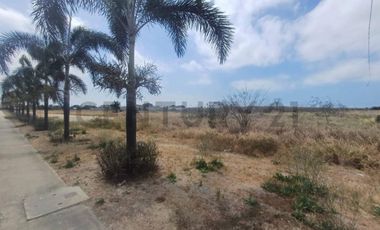 Amplio Terreno en Venta – 181.000 m² en Zona de Crecimiento
