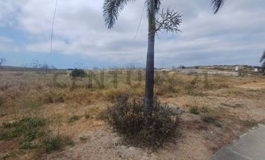 Amplio Terreno en Venta – 181.000 m² en Zona de Crecimiento
