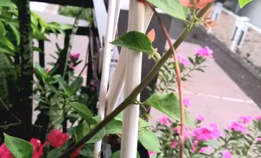 Dijual Rumah Cantik di dalam Cluster Eksklusif Pejaten Barat