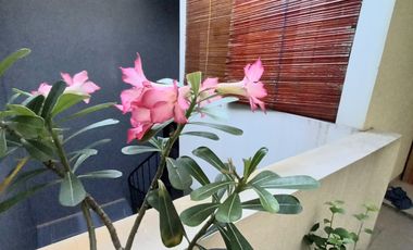 Dijual Rumah Cantik di dalam Cluster Eksklusif Pejaten Barat