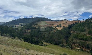 Terreno en Venta Guadalupe Victoria, Pue.