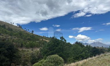 Terreno en Venta Guadalupe Victoria, Pue.