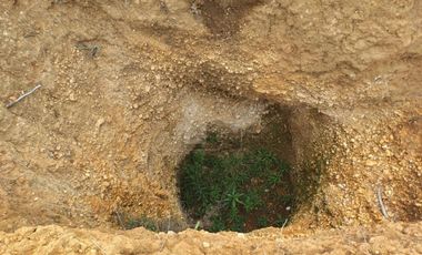 Terreno en Venta Guadalupe Victoria, Pue.