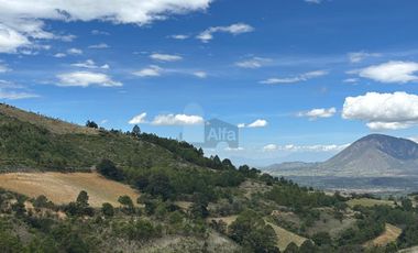 Terreno en Venta Guadalupe Victoria, Pue.