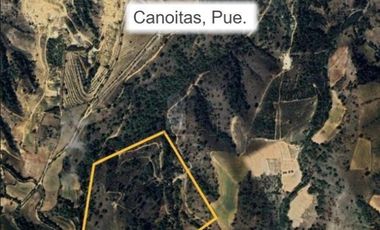 Terreno en Venta Guadalupe Victoria, Pue.