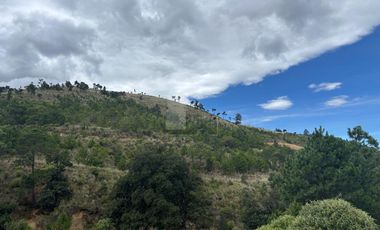 Terreno en Venta Guadalupe Victoria, Pue.