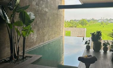 Villa Ricefield View Babakan Canggu Bali