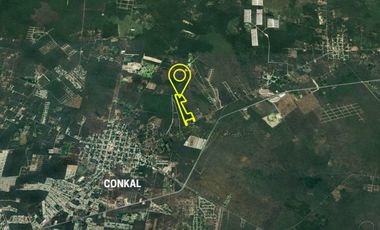 Strategic Land For Sale In Conkal LTM-070