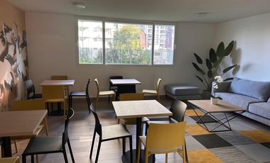 CERCA CALLE RODRIGO DE ARAYA CON AVENIDA MACUL