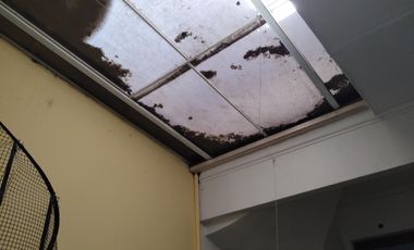 Oficina en un PH en Planta Baja con entrada indep. 3 amb Patio Cub sin exp