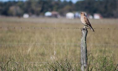 Terreno en venta - 5.000Mts2 - San Vicente
