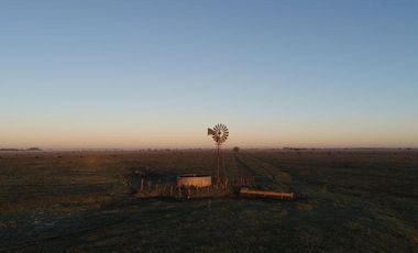 Terreno en venta - 5.000Mts2 - San Vicente