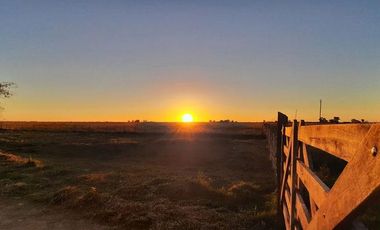 Terreno en venta - 5.000Mts2 - San Vicente