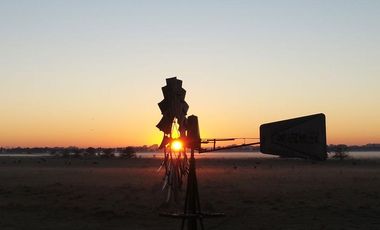 Terreno en venta - 5.000Mts2 - San Vicente