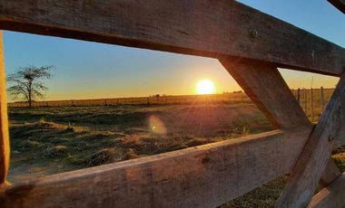 Terreno en venta - 5.000Mts2 - San Vicente