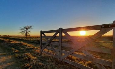 Terreno en venta - 5.000Mts2 - San Vicente