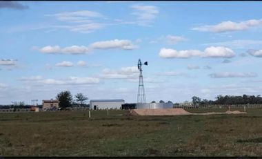 Terreno en venta - 5.000Mts2 - San Vicente