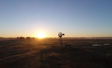 Terreno en venta - 5.000Mts2 - San Vicente