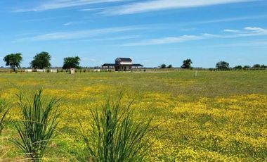 Terreno en venta - 5.000Mts2 - San Vicente