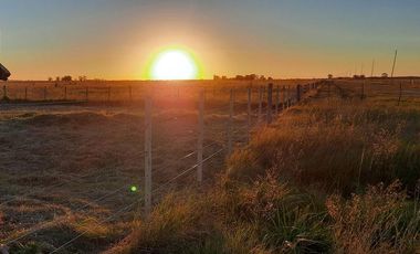 Terreno en venta - 5.000Mts2 - San Vicente