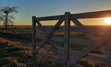 Terreno en venta - 5.000Mts2 - San Vicente