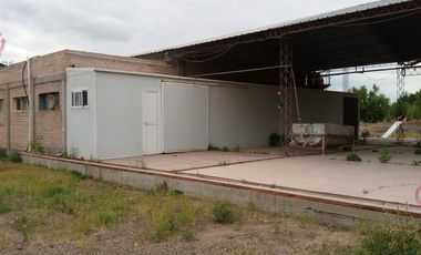 Alquiler- Planta faenadora   Frigorífico  450 m2- Plottier- Neuquén