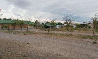 Alquiler- Planta faenadora   Frigorífico  450 m2- Plottier- Neuquén