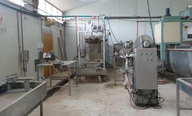 Alquiler- Planta faenadora   Frigorífico  450 m2- Plottier- Neuquén