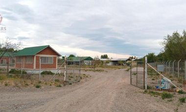 Alquiler- Planta faenadora   Frigorífico  450 m2- Plottier- Neuquén