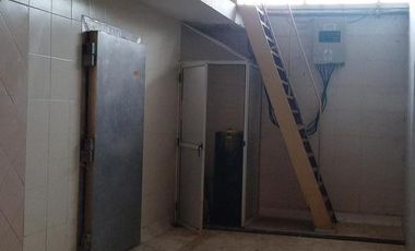 Alquiler- Planta faenadora   Frigorífico  450 m2- Plottier- Neuquén