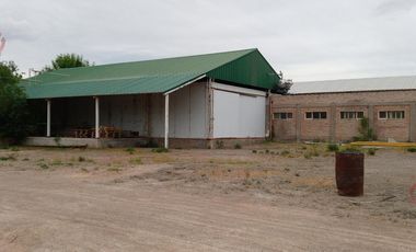 Alquiler- Planta faenadora   Frigorífico  450 m2- Plottier- Neuquén