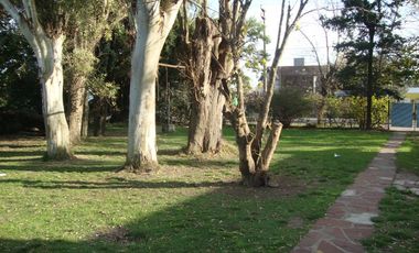 Terreno - Ministro Rivadavia