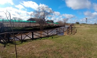 Lotes en Barrio Cerrado Fincas Don Eugenio 2