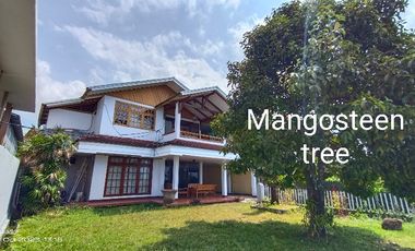 Di sewakan, bisa blanan cocok  kantor dan guest house, parkir 8 mobil