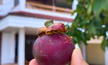 Di sewakan, bisa blanan cocok  kantor dan guest house, parkir 8 mobil