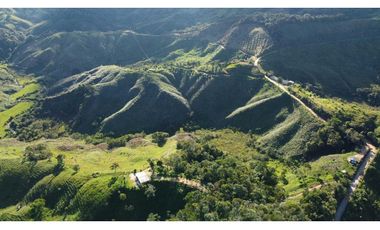 Venta finca forestal Angostura Antioquia