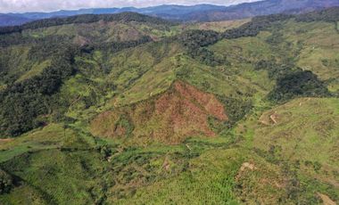 Venta finca forestal Angostura Antioquia