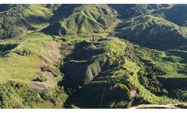 Venta finca forestal Angostura Antioquia