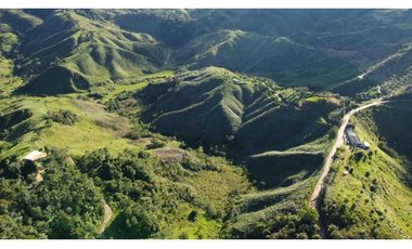 Venta finca forestal Angostura Antioquia