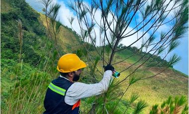 Venta finca forestal Angostura Antioquia
