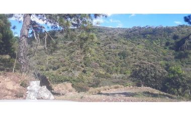 VENDO 5 LOTES DESDE 1415MTS EN ALTO BOQUETE