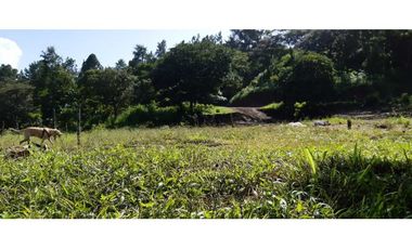 VENDO 5 LOTES DESDE 1415MTS EN ALTO BOQUETE