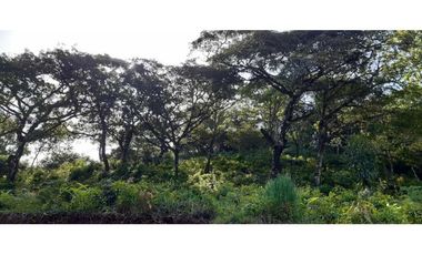 VENDO 5 LOTES DESDE 1415MTS EN ALTO BOQUETE