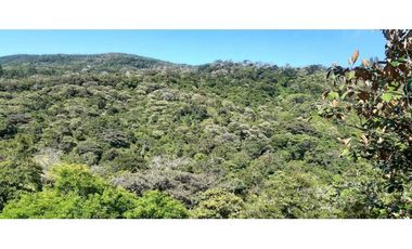 VENDO 5 LOTES DESDE 1415MTS EN ALTO BOQUETE